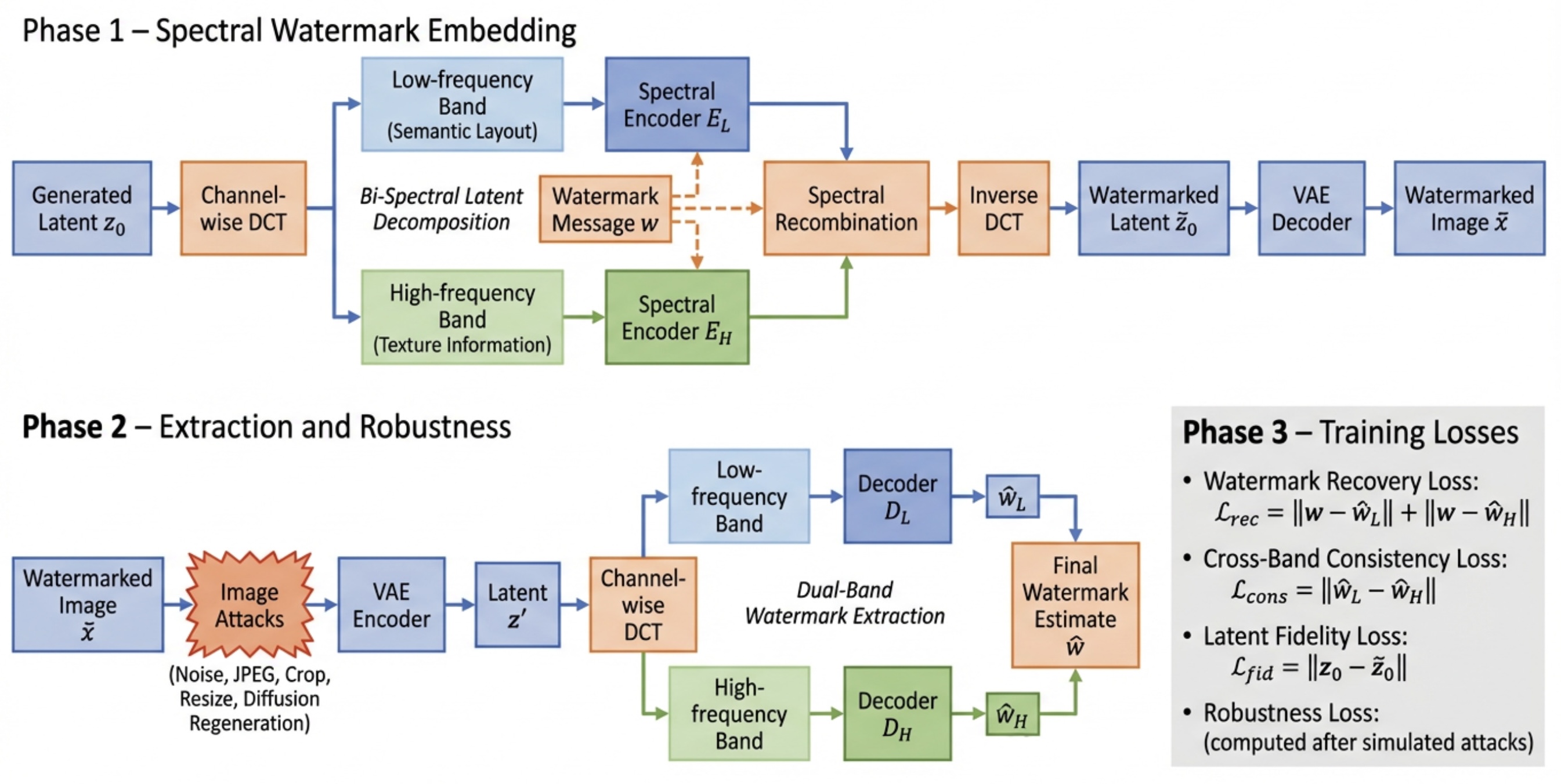 BiSLW training framework showing three phases: Phase 1 (Spectral Watermark Embedding) where the generated latent z₀ undergoes channel-wise DCT decomposition into low-frequency and high-frequency bands, each processed by spectral encoders E_L and E_H conditioned on watermark message w, then recombined via spectral recombination and inverse DCT into watermarked latent z̃₀ decoded by VAE; Phase 2 (Extraction and Robustness) where a watermarked image is attacked then re-encoded by VAE, decomposed by DCT, and processed by dual-band decoders D_L and D_H to produce final estimate ŵ; Phase 3 (Training Losses) showing watermark recovery loss, cross-band consistency loss, latent fidelity loss, and robustness loss.